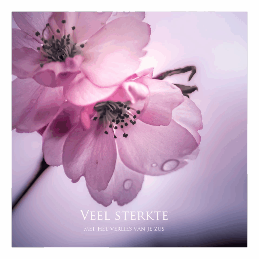 Wenskaart 'Veel sterkte - verlies zus'