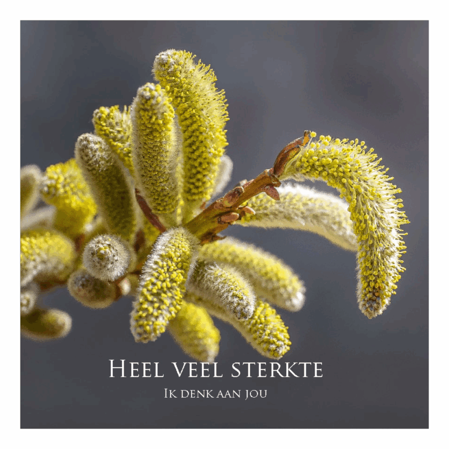 Wenskaart 'Ik denk aan jou'