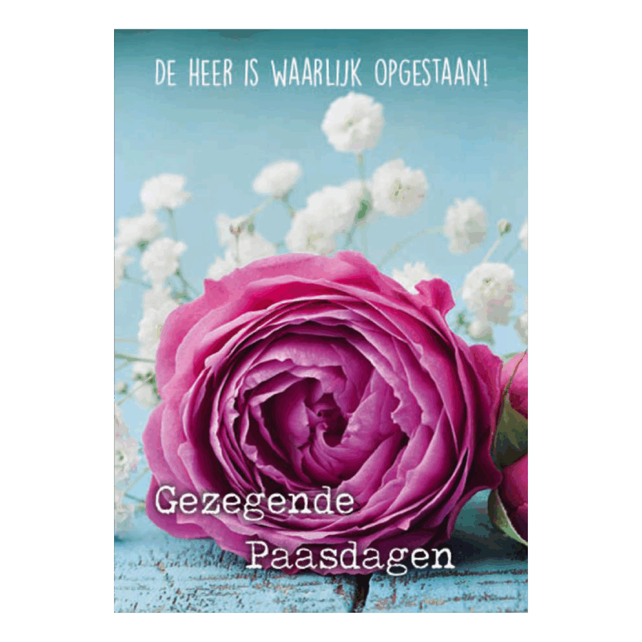 Voordeelkaart 'Gezegende paasdagen - bloem rose'