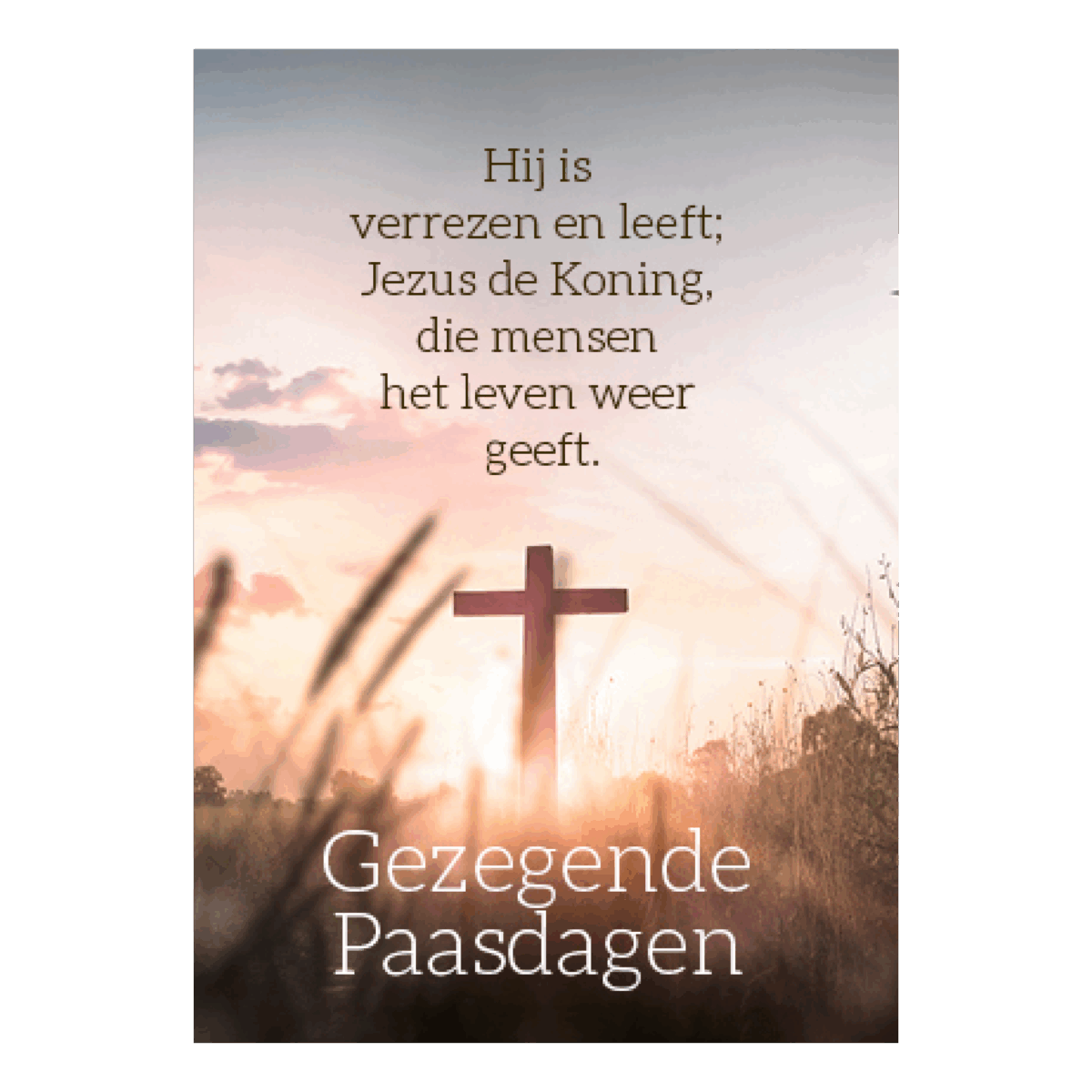 Voordeelkaart 'Gezegende paasdagen - Hij is verrezen'