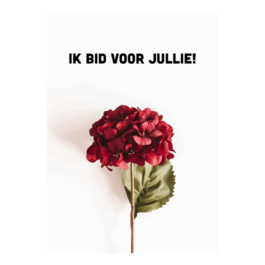 Voordeelkaart 'Ik bid voor jullie - hortensia'
