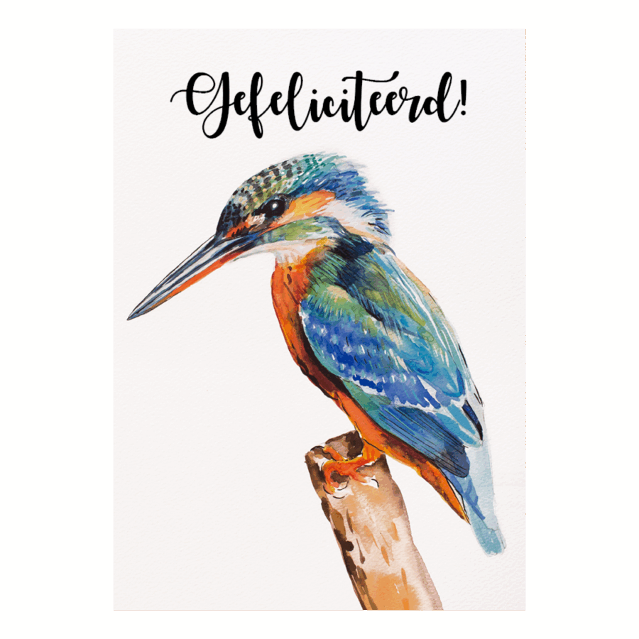 Voordeelkaart 'Gefeliciteerd - IJsvogel'