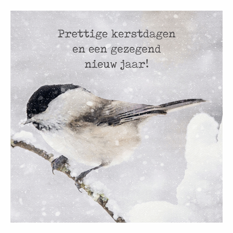 Minikaartje kerst 'vogel op tak'