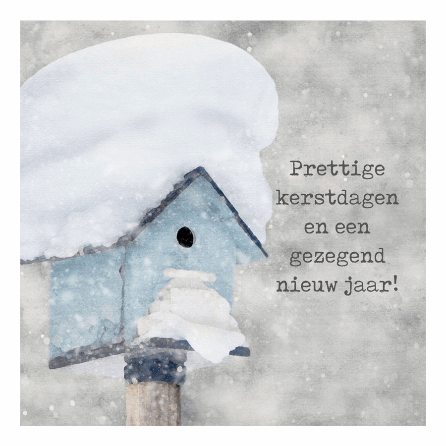 Minikaartje kerst 'Besneeuwd vogelhuisje'