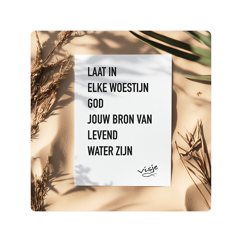 Visje bordje 'Woestijn'